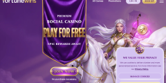 Stake.us website screenshot - crypto sweepstakes casino
